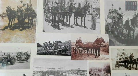 Dallo "sciaraball" alla "vignarol": ecco gli antichi carri protagonisti della sfilata di Corato